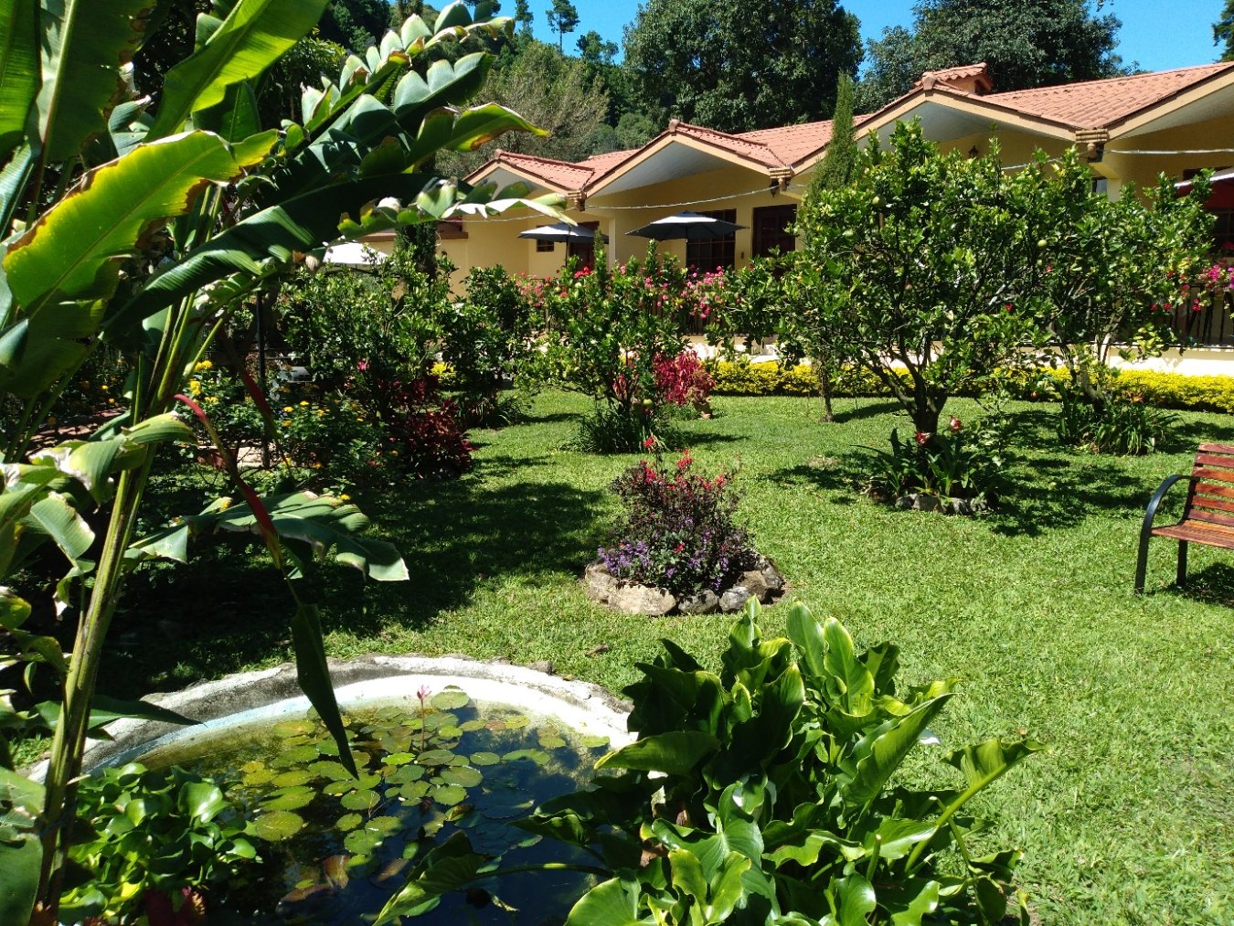 APARTHOTEL BOQUETE