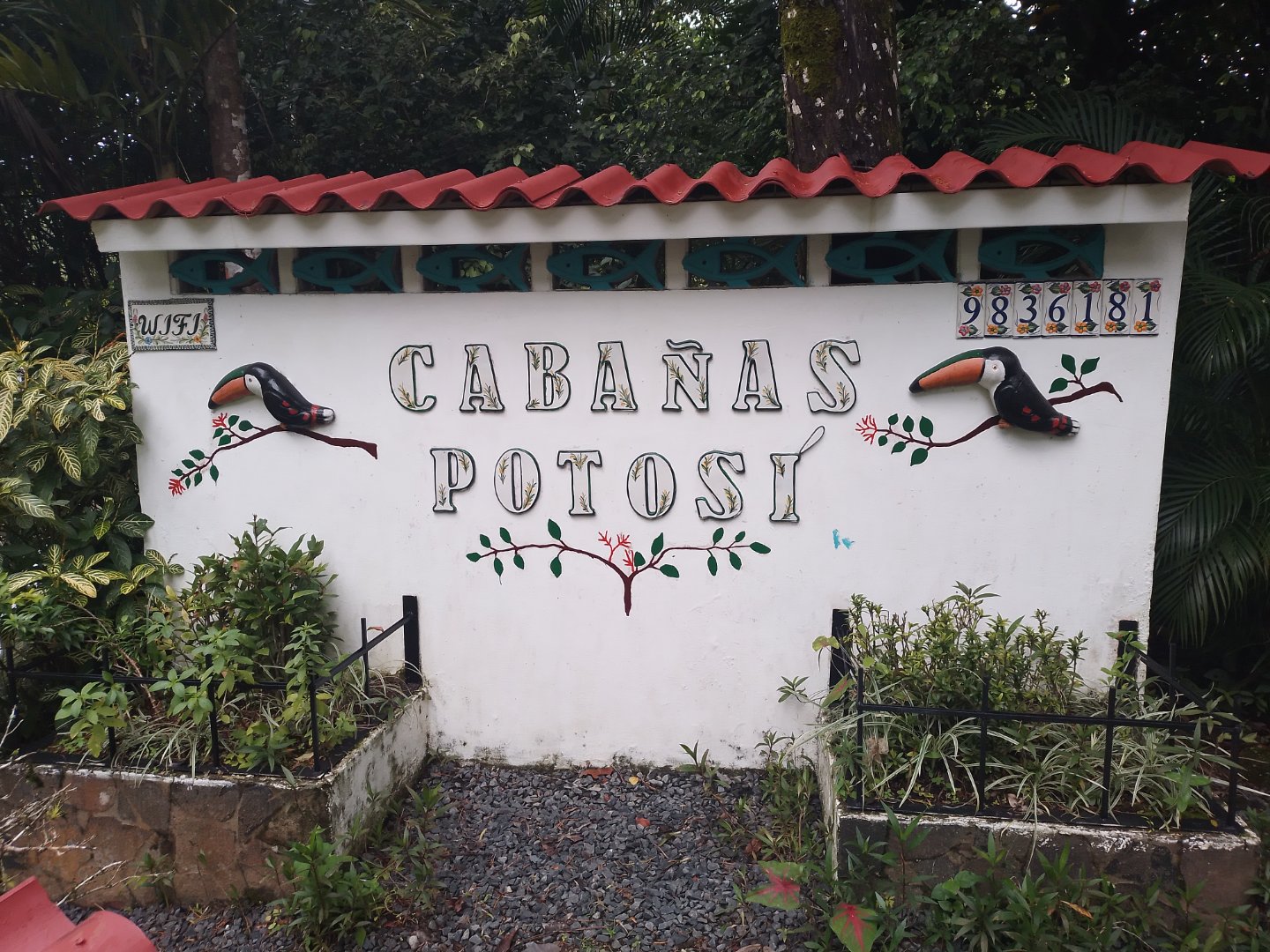 POTOSI 8